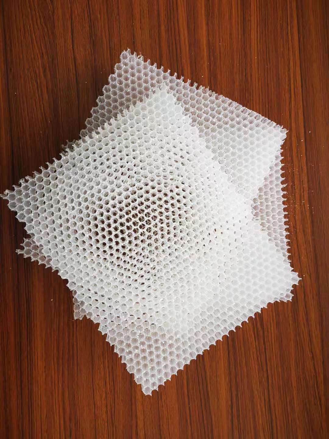 PP熱塑性復合蜂窩芯材擠出生產(chǎn)線